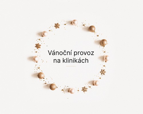 Kdy nás můžete navštívit v období Vánoc?